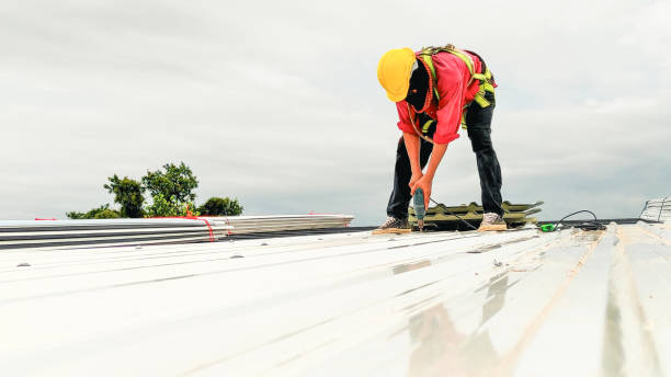 Best Metal Roofing Installation  in Perry, MI