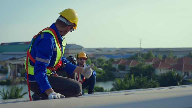 Best Solar Panel Roofing Installation  in Perry, MI
