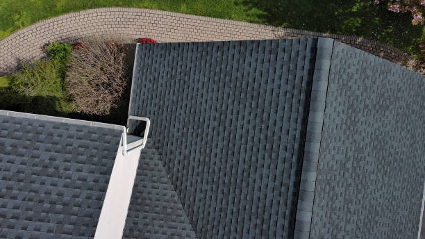 Best Roof Coating and Sealing  in Perry, MI