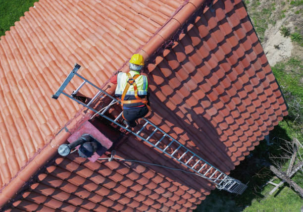 Best Roof Leak Repair  in Perry, MI